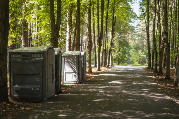Portable Toilet Options We Offer in Merrill, IA